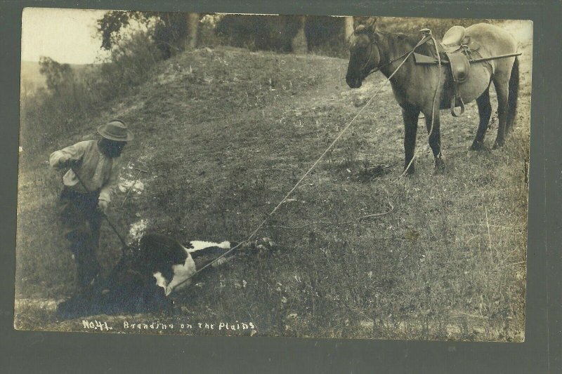 Kearney NEBRASKA RP c1910 COWBOY BRANDING COW Wild West S.D. BUTCHER & SON