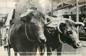 WA, Tacoma, Washington, Ezra Meeker OX Team & Wagon, State Historical Bldg.,RPPC