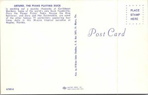 Postcard ANIMAL SCENE Naples Florida FL AM8265