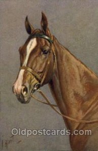 Artist I Rivst Horse Unused 