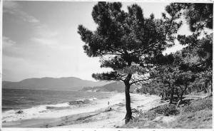 BR11555 Grand Hotel Cavalaire Var  real photo france