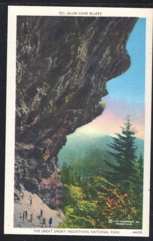 Alum Cave Bluffs Great Smoky Mountain Nat Park  unused