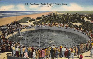 Top Deck at Marine Studios Feeding Time - Marineland, Florida FL  