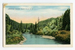 Postcard Spearfish Canyon Black Hills S. D. South Dakota Standard View Card