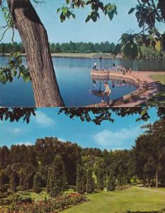 (2 cards) Hiawatha Lake at Onondaga Park - Syracuse NY, New York