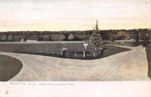 MANKATO MINNESOTA SIBLEY PARK~HORSE RACE TRACK~TUCK RAPHO-TYPE POSTCARD 1900s 