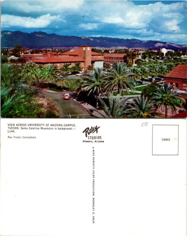 View Across University of Arizona Campus, Tucson (10941)