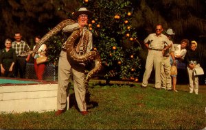 FLorida Orlando Gatorland Zoo Owen Godwin With Giant Rock Python 1967