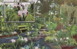 Wisconsin Milwaukee Orchid Show Mitchell Park Conservatory