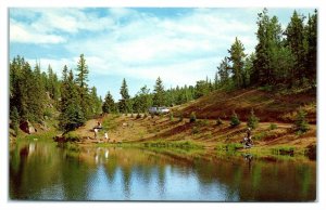 Trout Haven, Divide, CO Postcard *6V(2)16