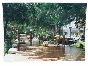 Orchard Road one of Singapores Beautiful Tree Lined Streets Vtg Postcard 1980s