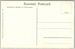 Jerusalem Garden Gethsemane Trees Landscape Walls Postcard