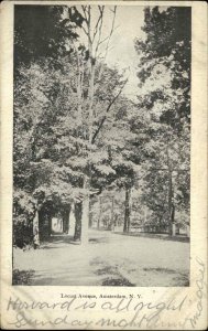 Amsterdam New York NY Locust Ave c1905 Postcard