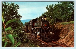 Train WANAMAKER, KEMPTON & SOUTHERN Railroad Little Maiden Creek  Postcard