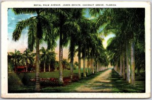 Florida FL, Royal Palm Avenue, James Estate, Coconut Grove, Vintage Postcard