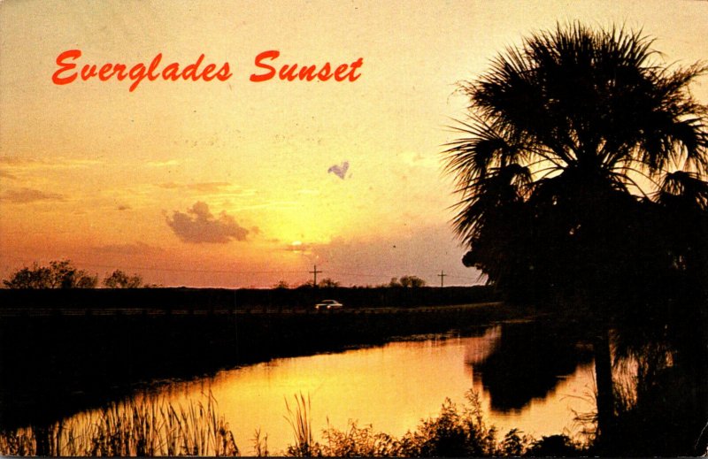 Florida Everglades Bbeautiful Sunset Scene