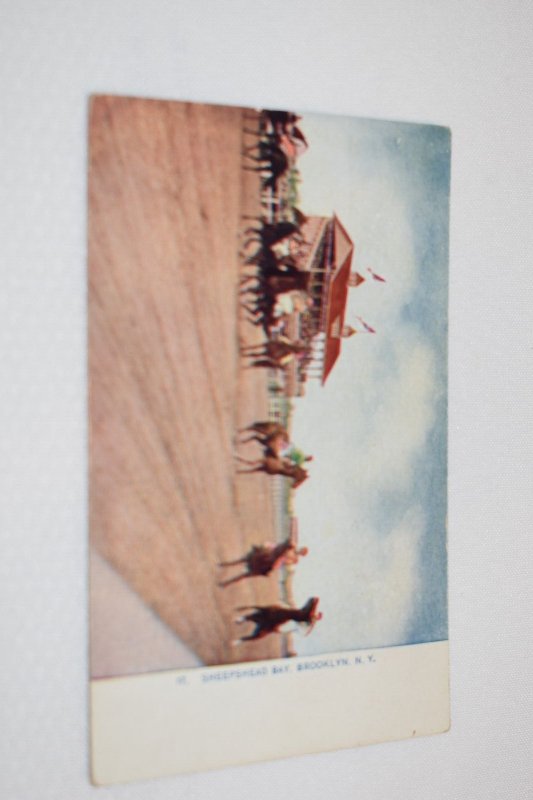 17. Sheepshead Bay Brooklyn New York Postcard