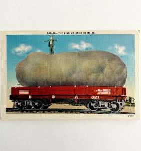 Giant Potato On Railway Car Maine Postcard Agriculture Railroad c1930s DWS5B