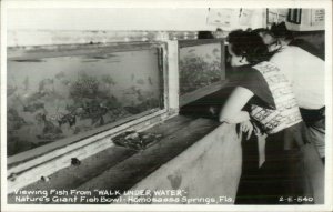 Homosassa Springs FL Cline Real Photo Postcard Fish Tank Aquarium