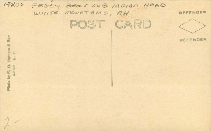 1920s Peggy Bear Cub Indian Head White Mountains New Hampshire Postcard 6690