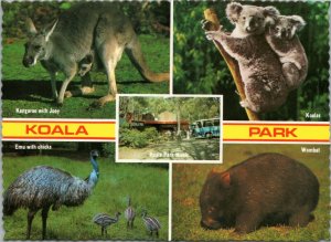 postcard Australia, NSW - West Pennant Hills - Koala Park multiview