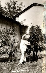 RPPC Man Loading Burro Donkeys Juarez Mexico Real Photo Postcard Tameo Geo 691