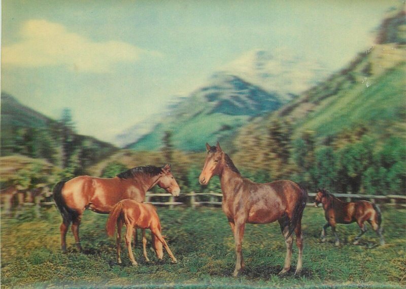 Stereo 3D lenticular postcard horses
