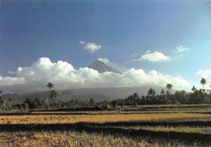 Philippines - Mayon Volcano in Albay