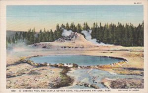 Crested Pool and Castle Geyser Cone Yellowstone National Park Curteich