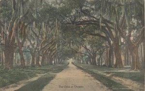 OTRANTO , South Carolina , 1900-10s ; The Oaks