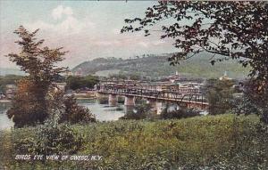 New York Owego Birds Eye View Of Owego