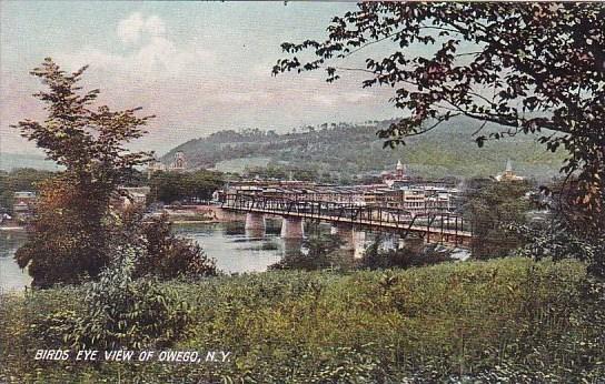 New York Owego Birds Eye View Of Owego