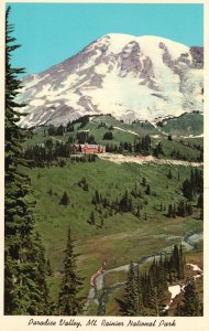 Vintage Postcard Paradise Valley Mt. Ranier National Park Washington WA