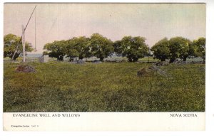 Evangeline Well and Willows, Nova Scotia Warwick