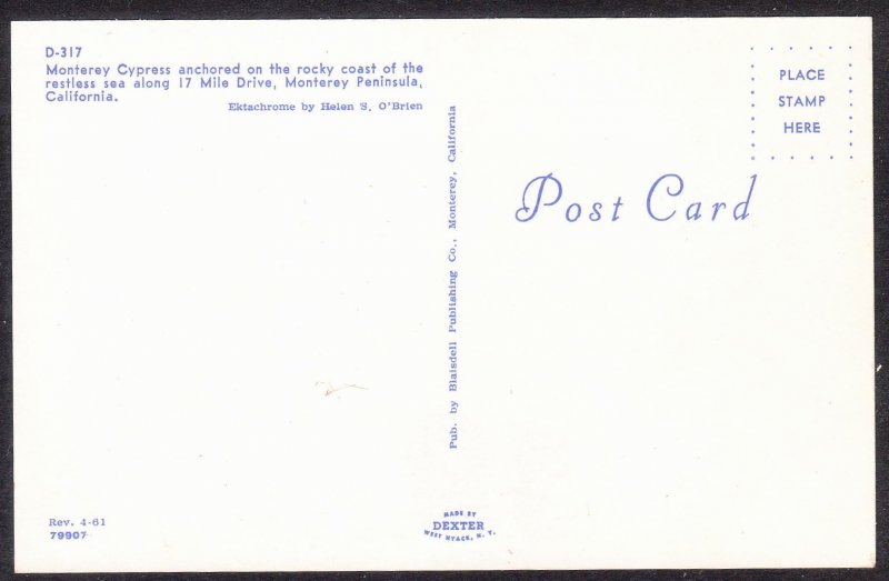 CA - Monterey - Monterey Cypress - Dexter chrome - 79907