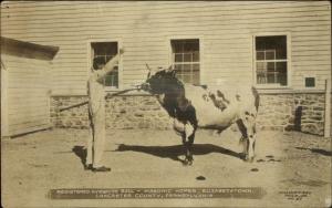 Lancaster County Ayrshire Bull Masonic Homes Elizabethtown Real Photo Postcard