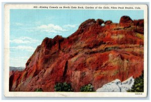 Kissing Camels North Gate Rock Garden Of The Gods Pike Peaks Region CO Postcard