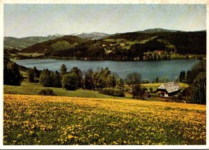 Germany Titisee Totalansicht