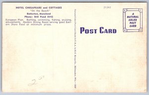 K25/ Betterton Maryland Postcard Linen Hotel Chesapeake Cottages 280