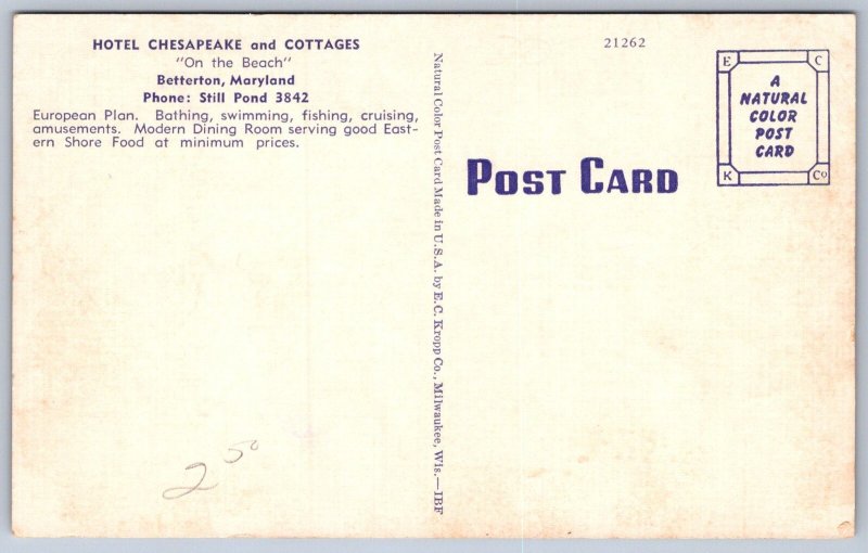 K25/ Betterton Maryland Postcard Linen Hotel Chesapeake Cottages 280