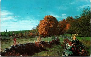 Postcard Missouri Troy Greetings from Troy Woodland Serenity in Fall 1963 V209