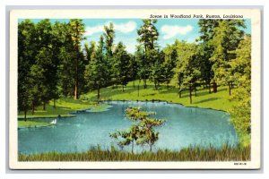 Scene In Woodland Park Ruston Louisina LA UNP Linen Postcard V3