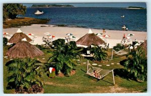 CONTADORA ISLAND, Las Perlas Archipelago PANAMA ~ Beach Scene c1960s  Postcard