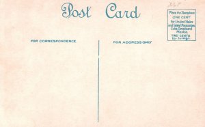 Vintage Postcard Sky Line Showing Custom House & Boats Boston Massachusetts MA