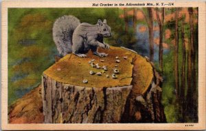 New York Nut Cracker In The Adirondack Mountains 1946 Curteich