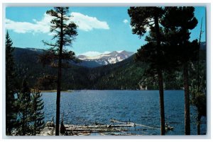 c1960s Enchanting Chambers Lake Fort Collins Colorado CO Unposted Trees Postcard 