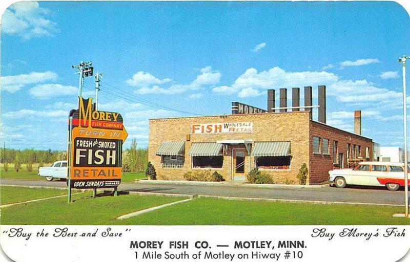 Motley MN Morey Fish Retail Store Old Cars Postcard