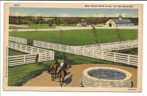 Blue Grass Stock Farm In Old Kentucky