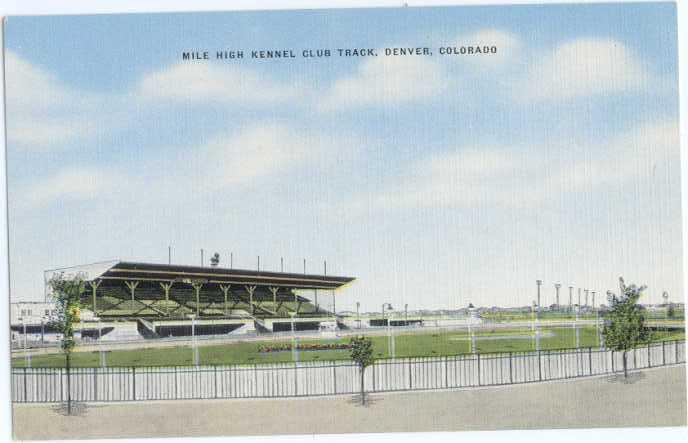 Linen of Mile High Kennel Club Track Denver Colorado CO