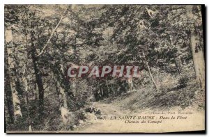 Old Postcard La Sainte Baume In the Forest Path Canape